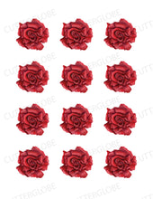 Load image into Gallery viewer, Floral 113 Transfer (Indiv Red Rose)
