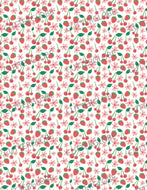 Fruits 005 Transfer (Strawberry Cherry Flower)