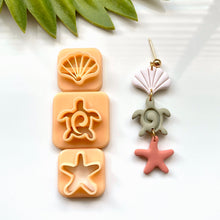 Load image into Gallery viewer, Triple Shell Turtle Starfish
