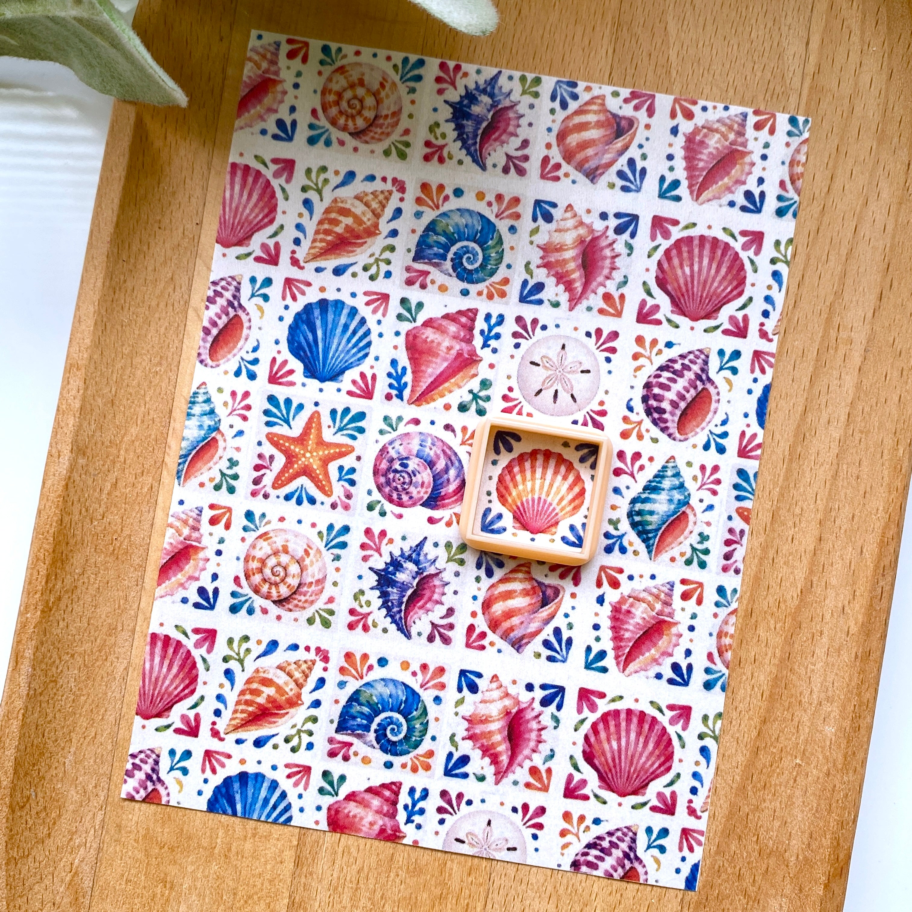Tile 008 Transfer (Colorful Shells L) – Cutterglobe