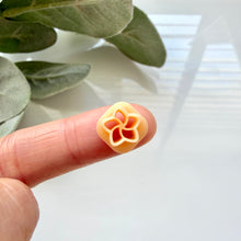 Load image into Gallery viewer, Plumeria (Micro)
