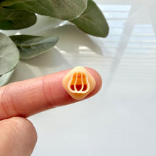 Load image into Gallery viewer, Pumpkin B (Micro)
