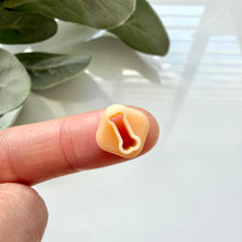 Load image into Gallery viewer, Bone (Micro)

