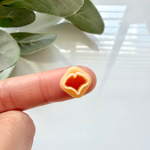 Load image into Gallery viewer, Ginkgo (Micro)
