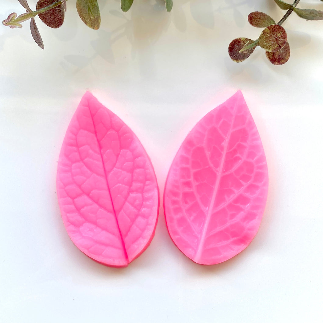 Leaf Veiner
