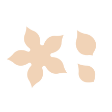 Load image into Gallery viewer, Poinsettia Set
