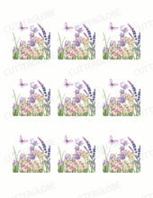 Load image into Gallery viewer, Spring 006 Transfer (Indiv)
