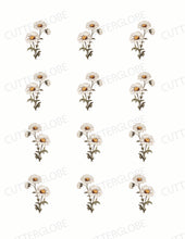 Load image into Gallery viewer, Spring 009 Transfer (Indiv Birth Flowers)
