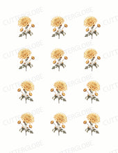 Load image into Gallery viewer, Spring 009 Transfer (Indiv Birth Flowers)
