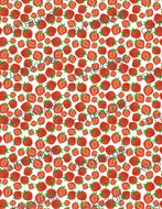 Strawberry 003 Transfer