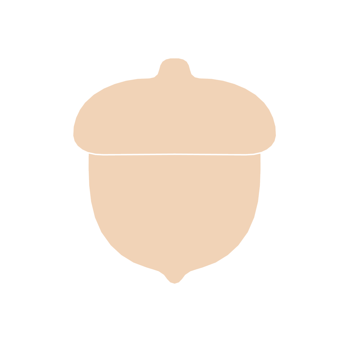 Acorn – Cutterglobe