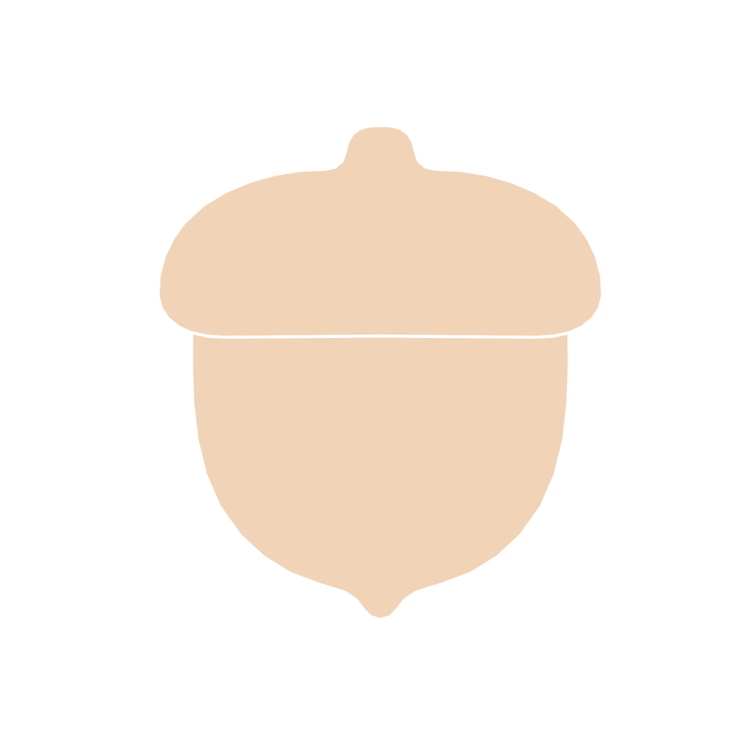 Acorn