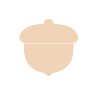 Acorn (Micro)
