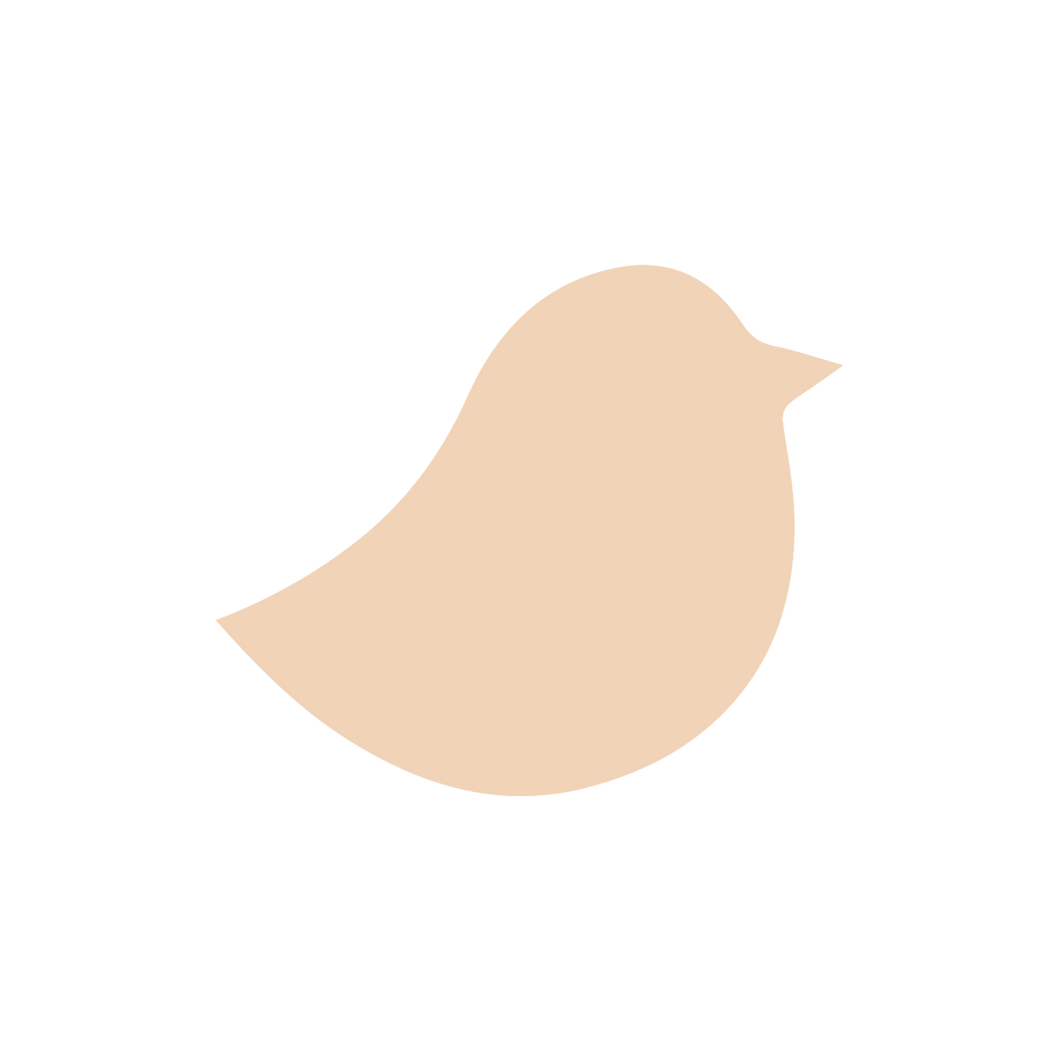 Bird (Micro)