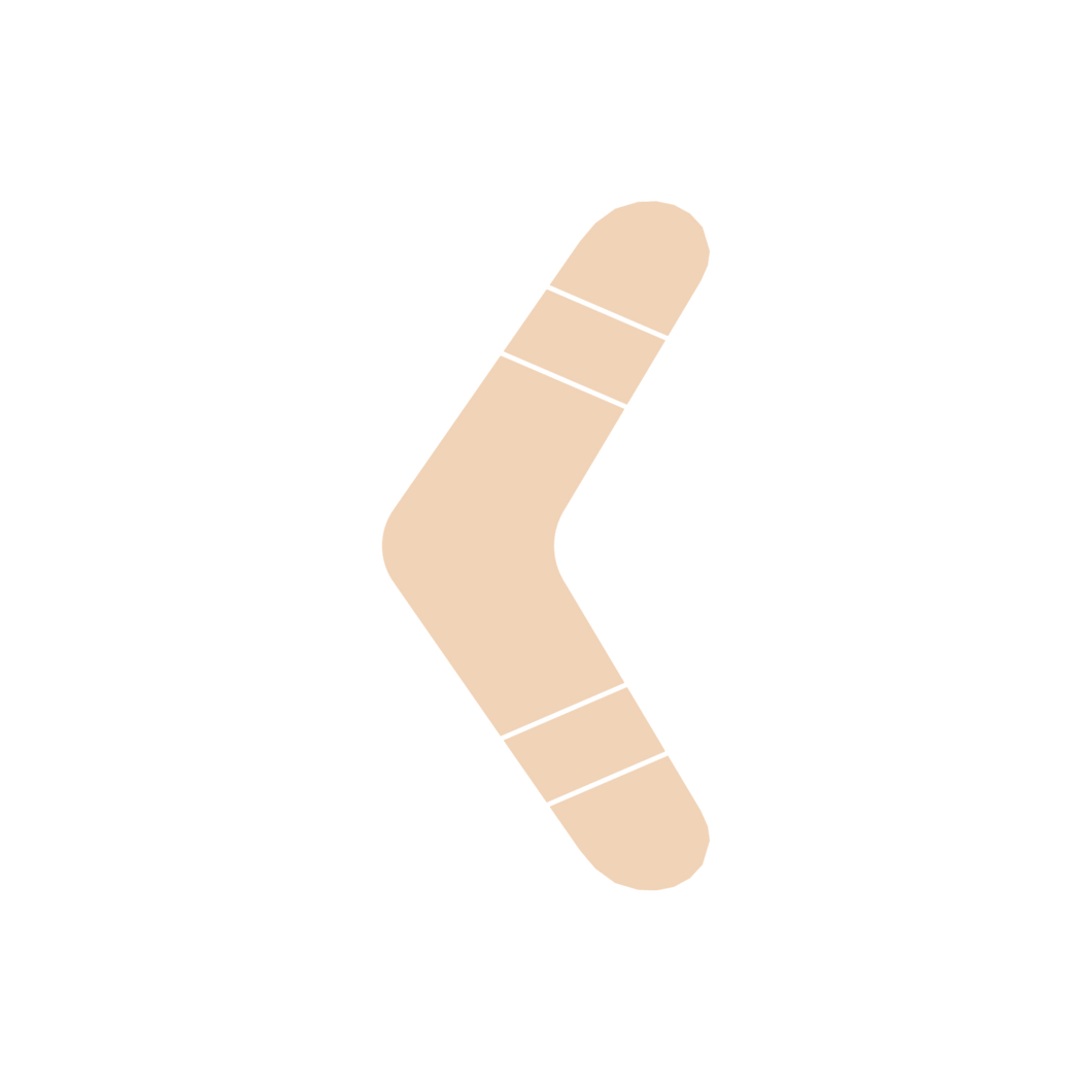 Boomerang