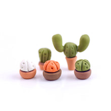 Load image into Gallery viewer, Cacti Pots Bead Roller Bundle of 5
