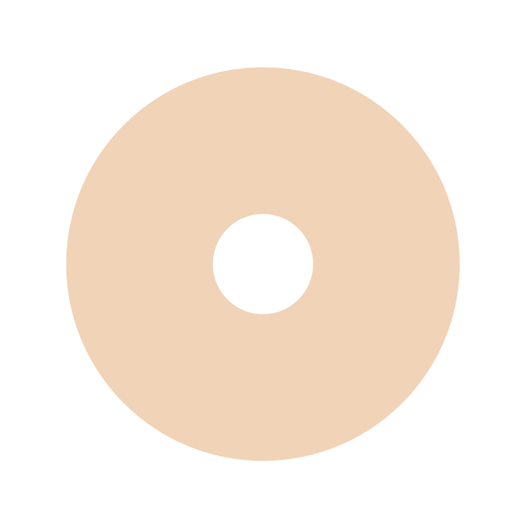 Circle Donut (Micro)