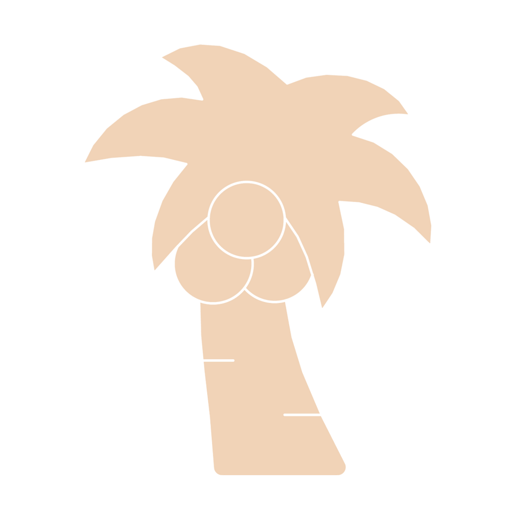 Coconut Tree