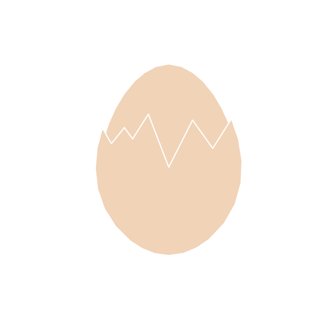 Cracked Egg