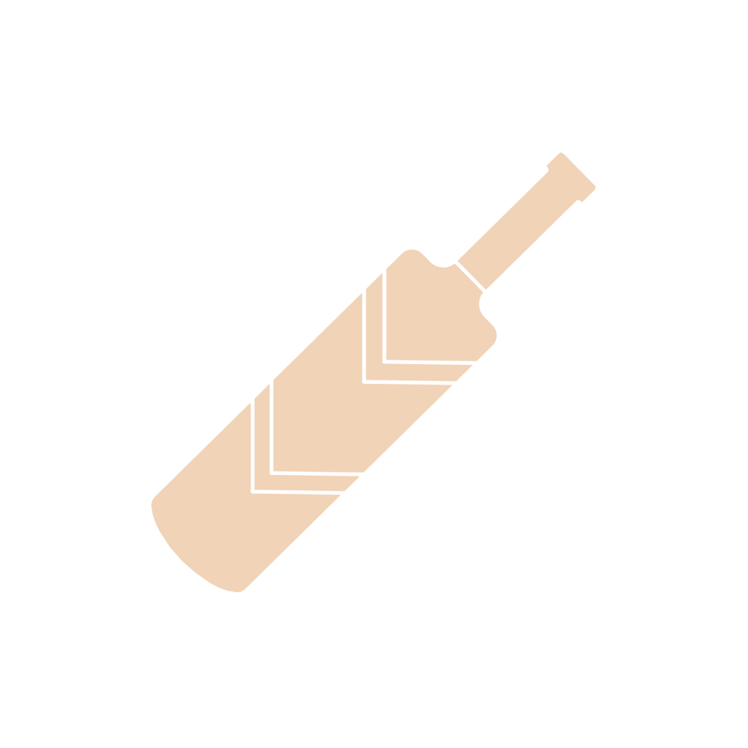 Cricket Bat