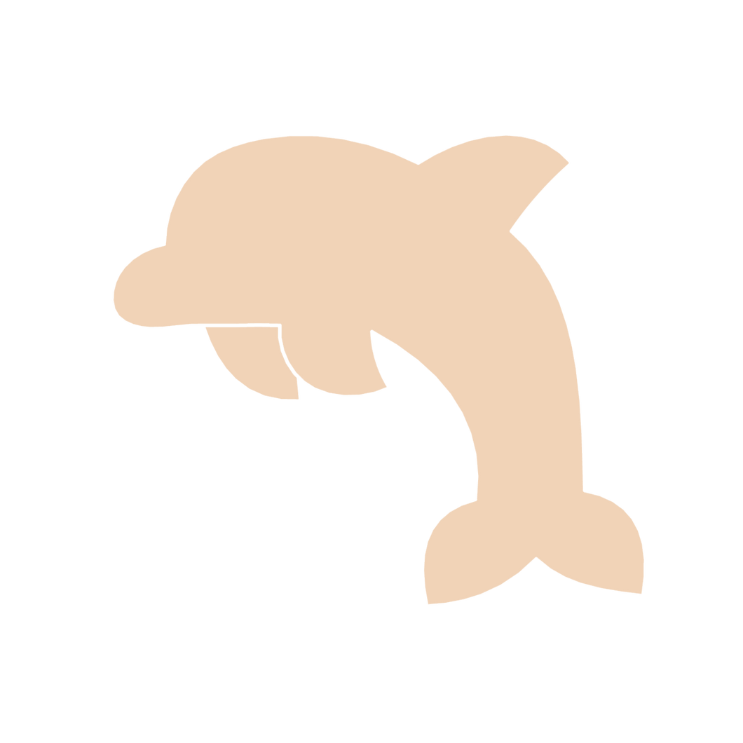 Dolphin B