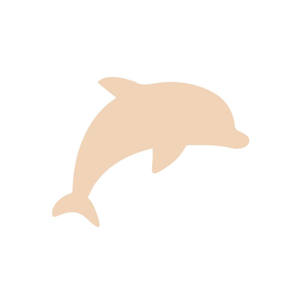 Dolphin