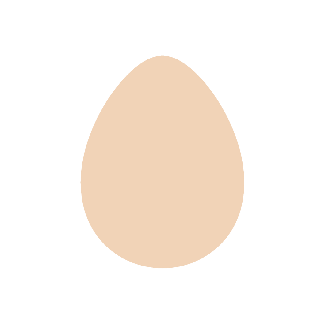 Egg