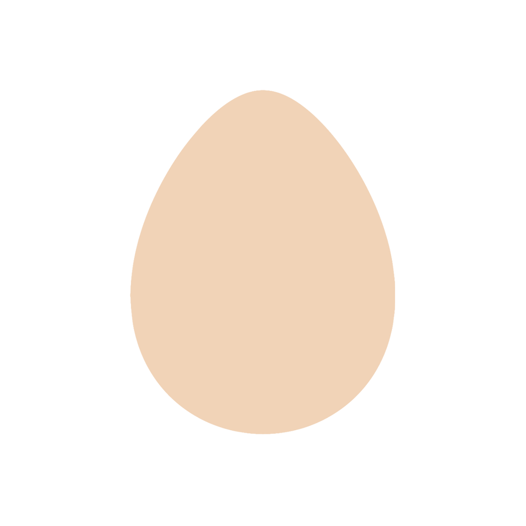 Egg (Nano)