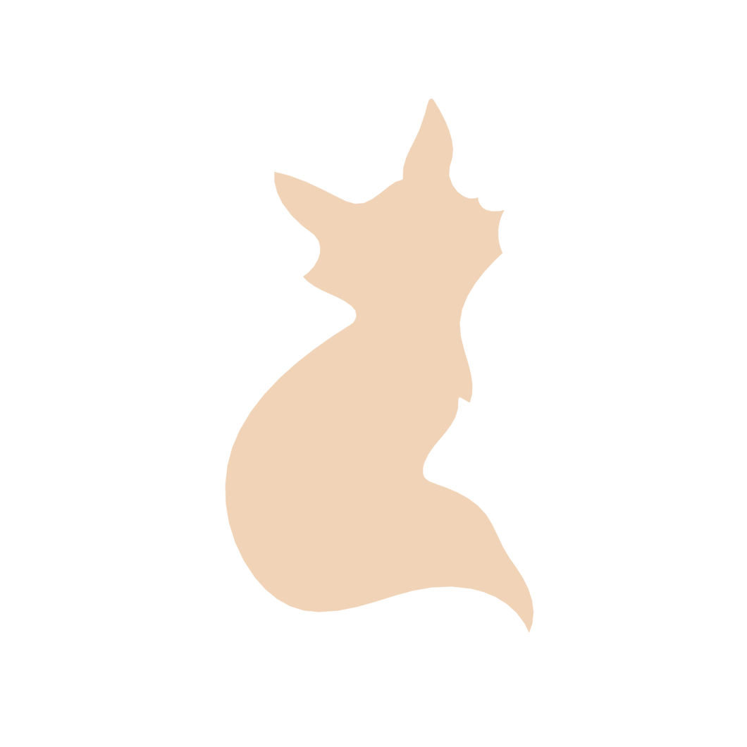 Fox (Micro)