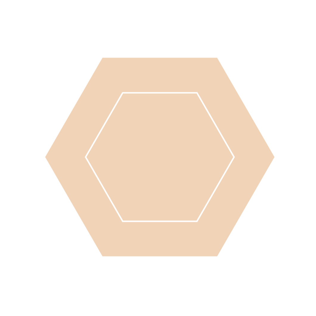 Hexagon Frame Stud