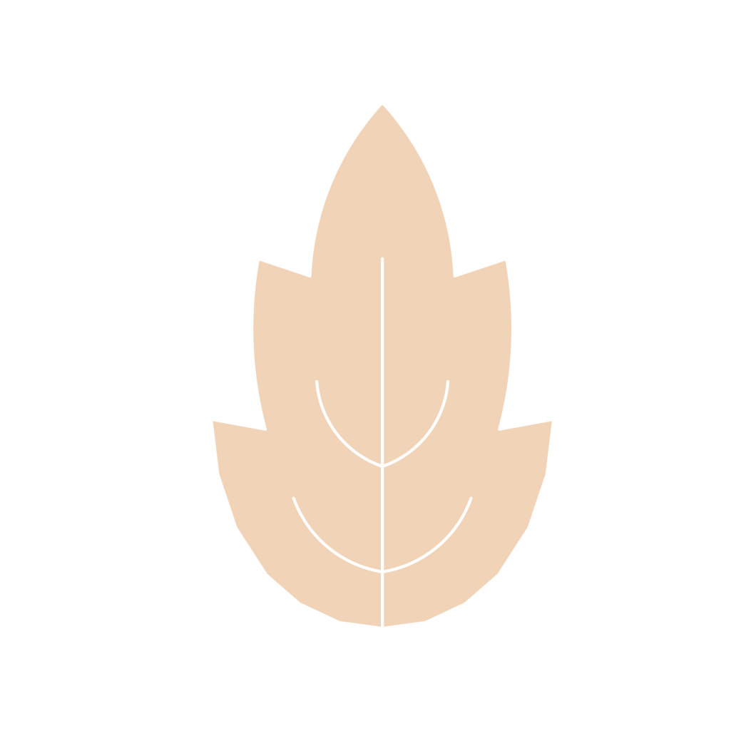 Jagged Leaf B