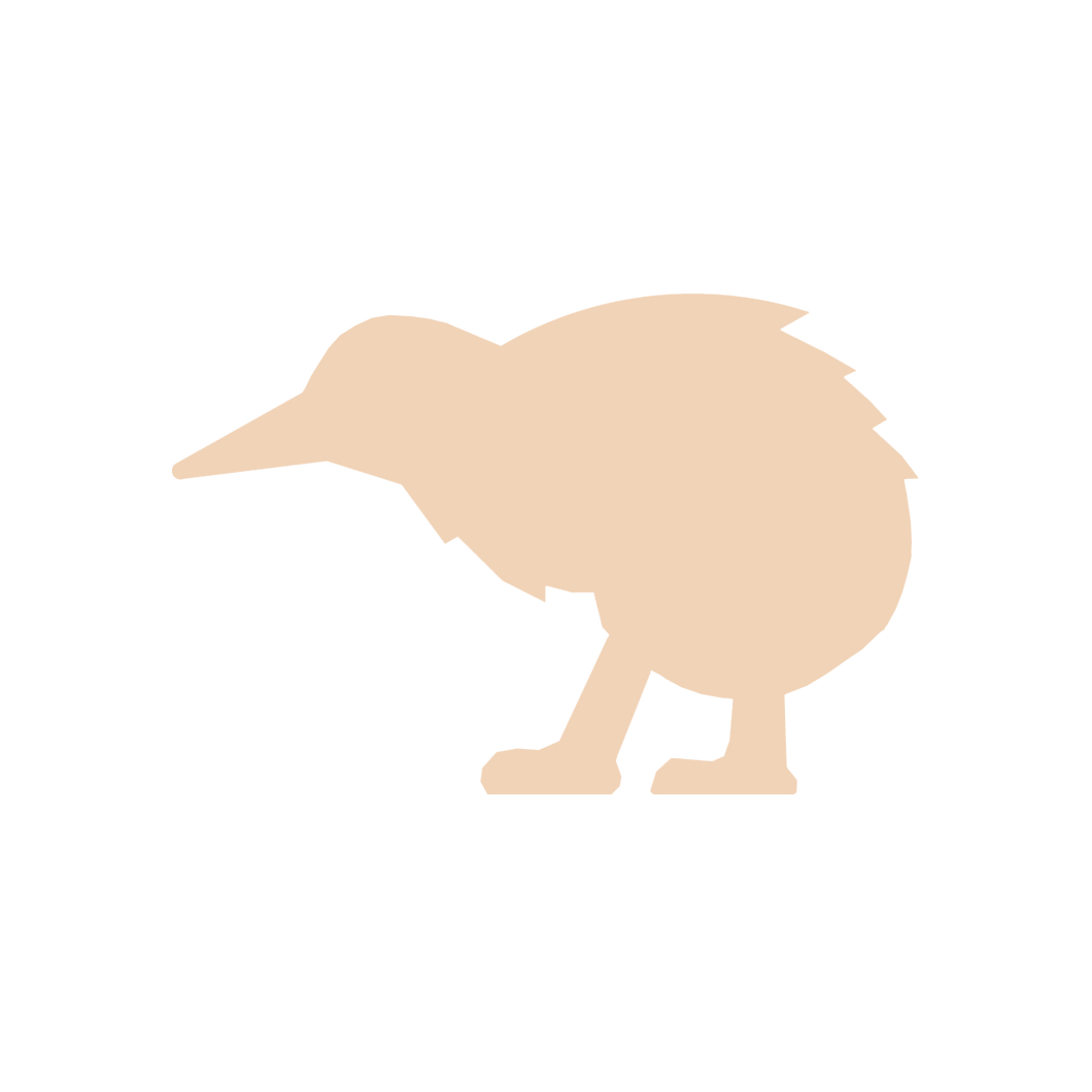 Kiwi Bird