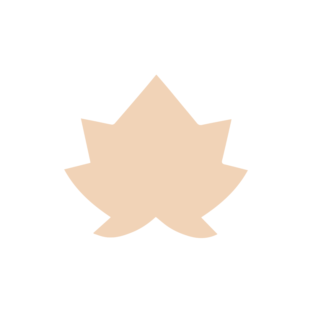 Maple (Micro)