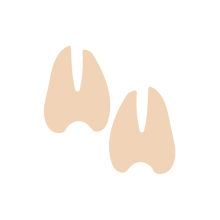 Load image into Gallery viewer, Animal Footprint Stamps
