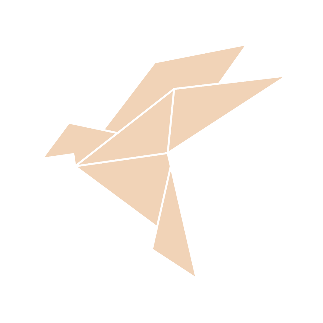 Origami Bird