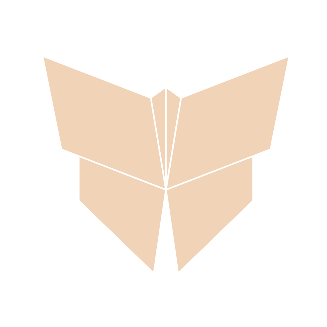 Origami Butterfly