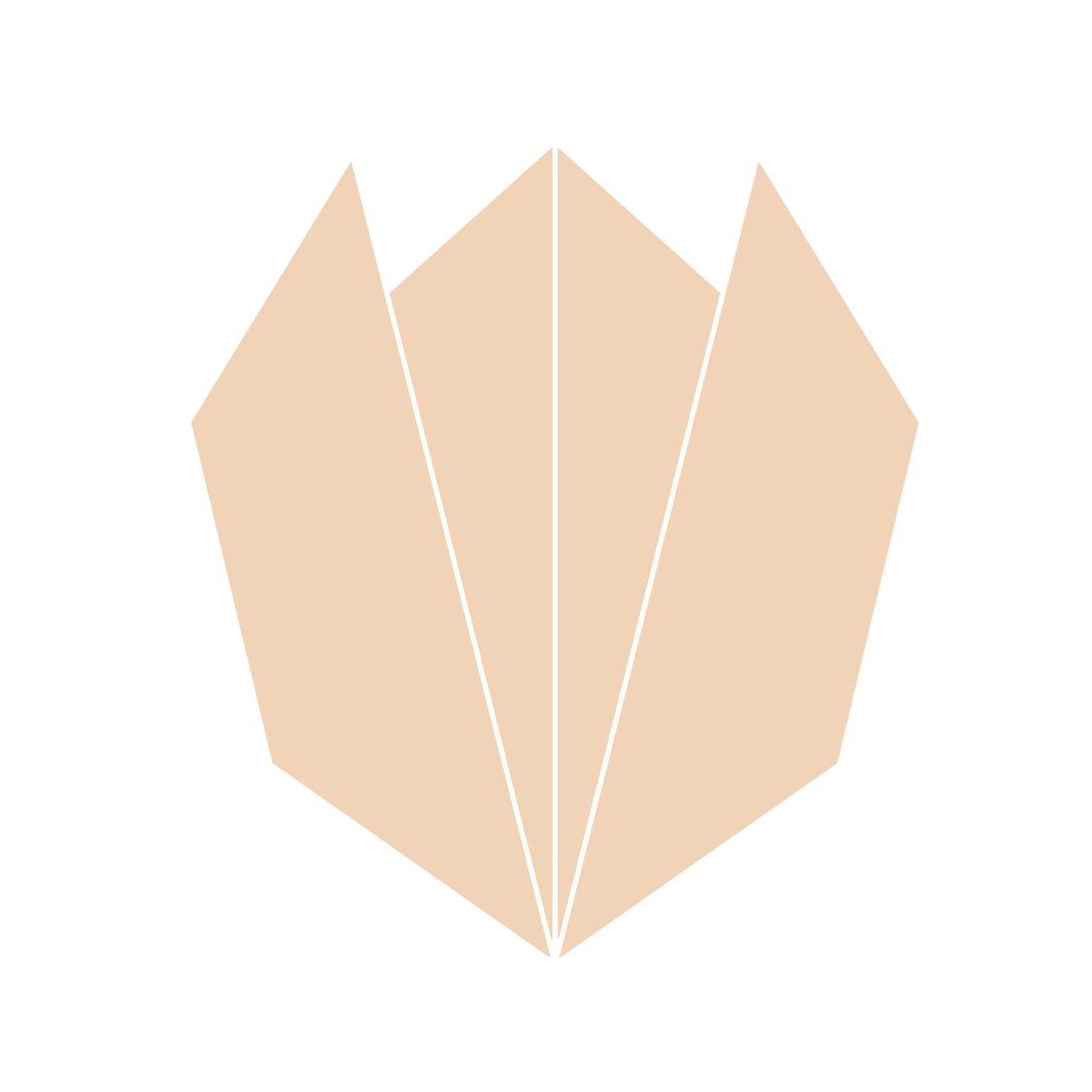 Origami Tulip