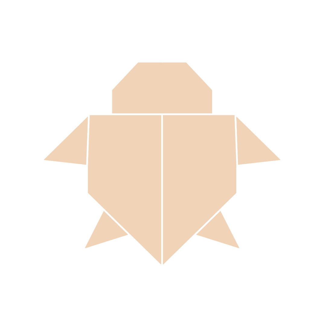 Origami Turtle