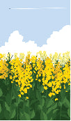 Load image into Gallery viewer, Canola Field 001 Transfer (MC)

