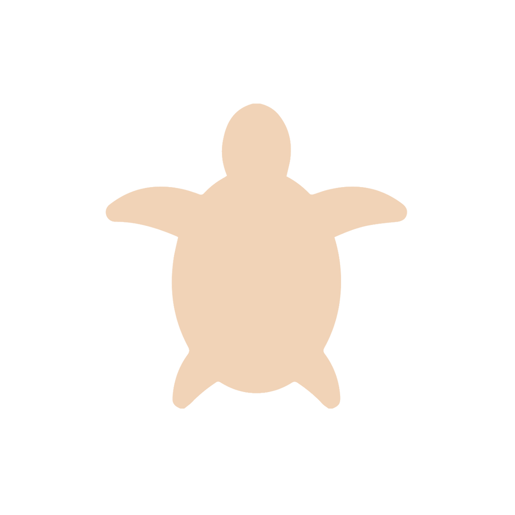 Sea Turtle (Micro)