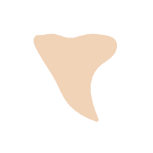Load image into Gallery viewer, Shark Tooth
