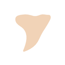 Load image into Gallery viewer, Shark Tooth
