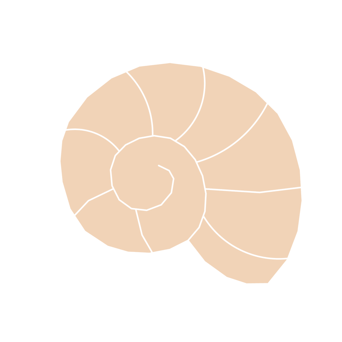 Shell I Stud – Cutterglobe