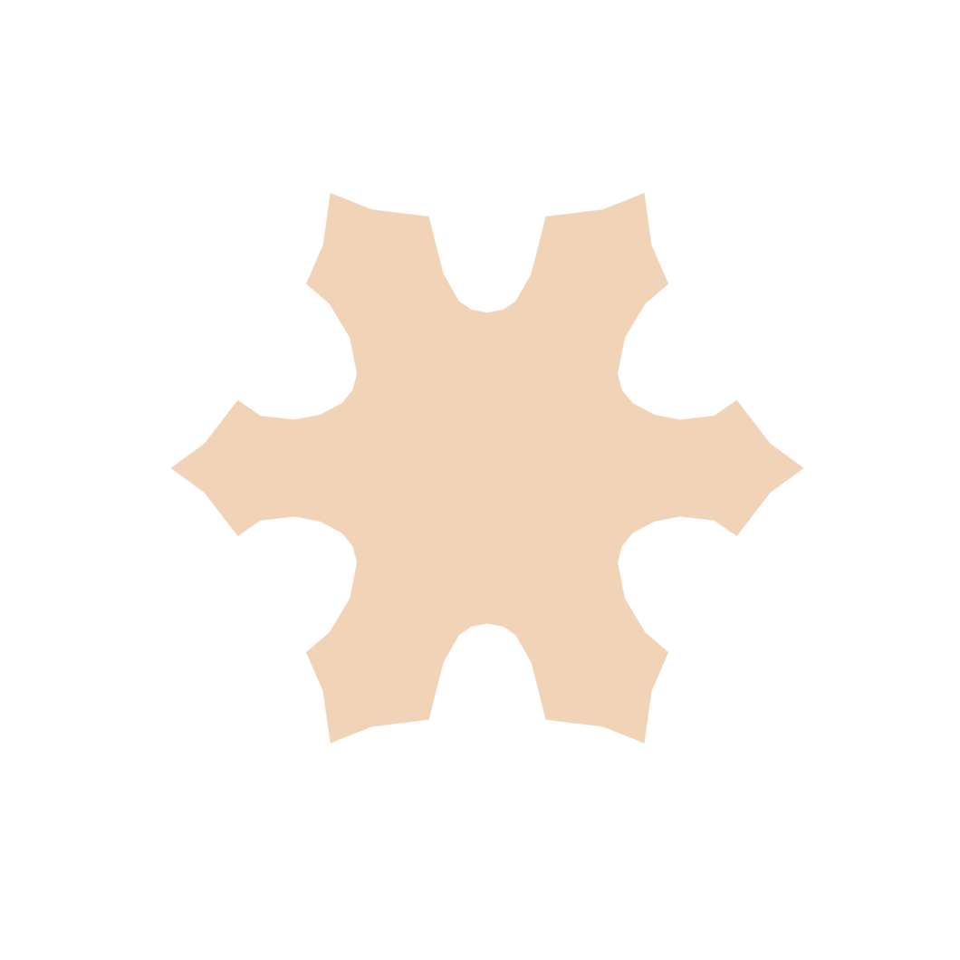 Snowflake B (Micro)