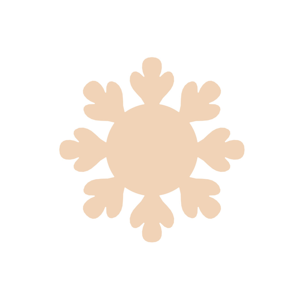 Snowflake C (Micro)